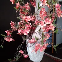 در حد نو|گل مصنوعی|قائم‌شهر, |دیوار