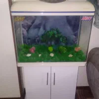 زیبا وتمیز با پایه درحد نو بادماسنج دیجیتالی درب|ماهی|تهران, گلچین|دیوار