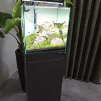 آکواریوم پلنت فروش فوری زیر قیمت|ماهی|قم, پردیسان|دیوار