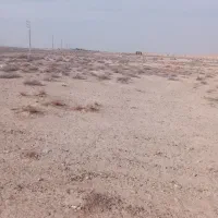 زمین کشاورزی|فروش دفتر صنعتی، کشاورزی، تجاری|جوادآباد, |دیوار