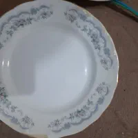 بشقاب چینی|ظروف سرو و پذیرایی|اردبیل, |دیوار