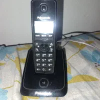 پاناسونیک