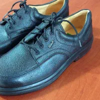 کفش رومیکا ملّی۴۲|کیف، کفش، کمربند|اشتهارد, |دیوار