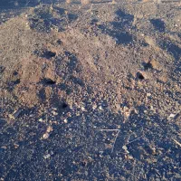 خاک نرم سنگ آهن جهت رشد درختان پسته .زردآلو.گردو..