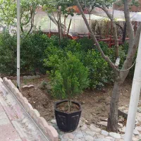 فروش باغچه روستای وردیج منطقه ۲۲ تهران|فروش خانه و ویلا|کن, |دیوار