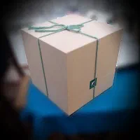 آباژور  گل کاکتوس|چراغ خواب و آباژور|بومهن, |دیوار