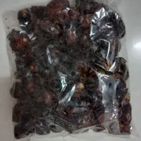 خرمامضافتی تازه فقط پنجاه تومن|خوردنی و آشامیدنی|یزد, |دیوار