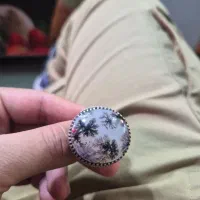 انگشتر شجر