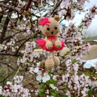 انواع جاسویچی