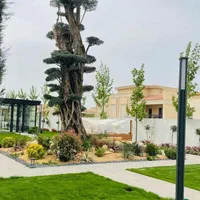 باغبانی طراحی باغچه چمن ابیاری قطره ای باچک مدتدار|خدمات باغبانی و درختکاری|تهران, ونک|دیوار