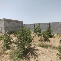 باغ اجیلی نقلی معاوضه|فروش زمین و ملک کلنگی|اصفهان, شاهزاده ابراهیم|دیوار