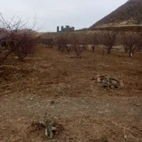 سمپاشی چال کود تیلر هرس|خدمات باغبانی و درختکاری|سنندج, |دیوار