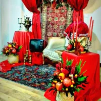 عکاسی بارداری ، کریسمس، نوزاد، تعین جنسیت،تولد