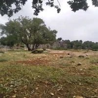 جویای کار نگهبانی
