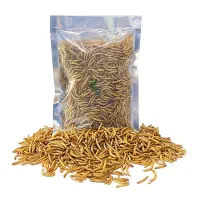 کرم میلورم پروتئین