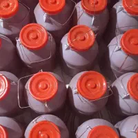 رب گوجه فرنگی|خوردنی و آشامیدنی|تهران, مجیدیه|دیوار