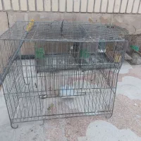 قفس پرنده|لوازم جانبی حیوانات|شیراز, تندگویان|دیوار
