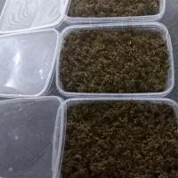 سلام|مجسمه، تندیس، ماکت|مشهد, کوشش|دیوار