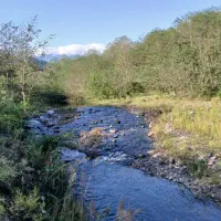 لنگرود  اطاقور سوئیت. حیاط دار ویو ابدی جای امن|اجارهٔ خانه و ویلا|لنگرود, |دیوار