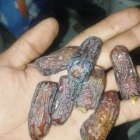 ریزه پیارم|حراج|حاجی آباد, |دیوار