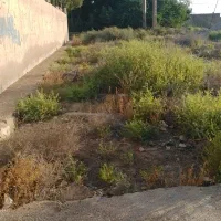 زمین-135-متری-کوی-فدک