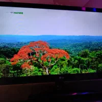 تلویزیون LG اصل