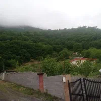 ۱۹۰ متر زمین داخل بافت زیراب پل سفید آلاشت|فروش زمین و ملک کلنگی|پل سفید, |دیوار
