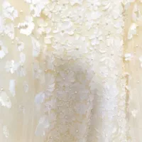 لباس مجلسی|لباس|مشهد, حرم مطهر رضوی|دیوار