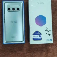 داریا باند درحد