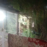 اجاره‌سوییت‌روزانه‌‌.ساعتی‌‌250|اجارهٔ کوتاه‌مدت آپارتمان و سوئیت|شاندیز, |دیوار