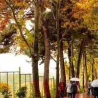 مدارک گم شده