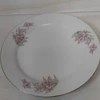 پلوخوری چینی سالم دستی ۳۰۰