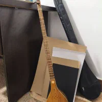 سه تار حرفه ای دو مهر