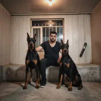 جفتگیری دوبرمن