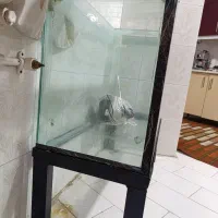 آکواریوم بزرگ|ماهی|خرمآباد, |دیوار