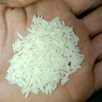 برنج ایرانی طارم هاشمی درجه یک