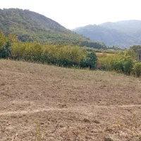 فروش زمین|فروش زمین و ملک کلنگی|صادق آباد, |دیوار