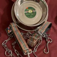 ظرف استیل غذا سگ وقلاده