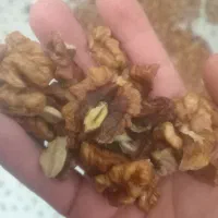 گردو