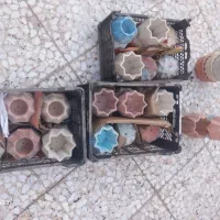 گلدان بتنی وقالب تولید|گل و گیاه طبیعی|پیر بکران, |دیوار