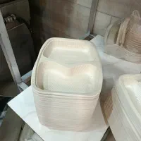 تعدادی ظرف یکبار مصرف بدلیل جمع آوری مطبخ