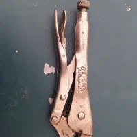 انبرقفلی آمریکایی