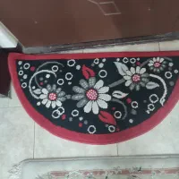 پاری کاملا سالم