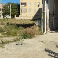 اجاره یارهن|اجارهٔ مغازه و غرفه|پارس‌آباد, |دیوار