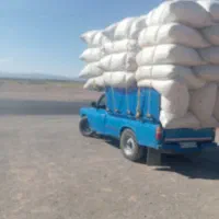 فروش کاه جو و گندم امسالی