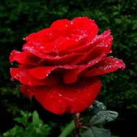 وام ۲۰۰ملیونی