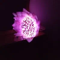 دسته گل پروانه کادو روز مادر