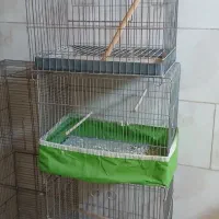 قفس چهار خان ودوتا قفس عروس تکی