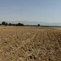 اجاره زمین زراعی