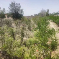 باغ جاده یل اباد